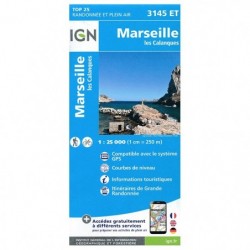 Carte IGN 3145ET...